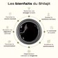 Shilajit – Votre allié pour une énergie durable