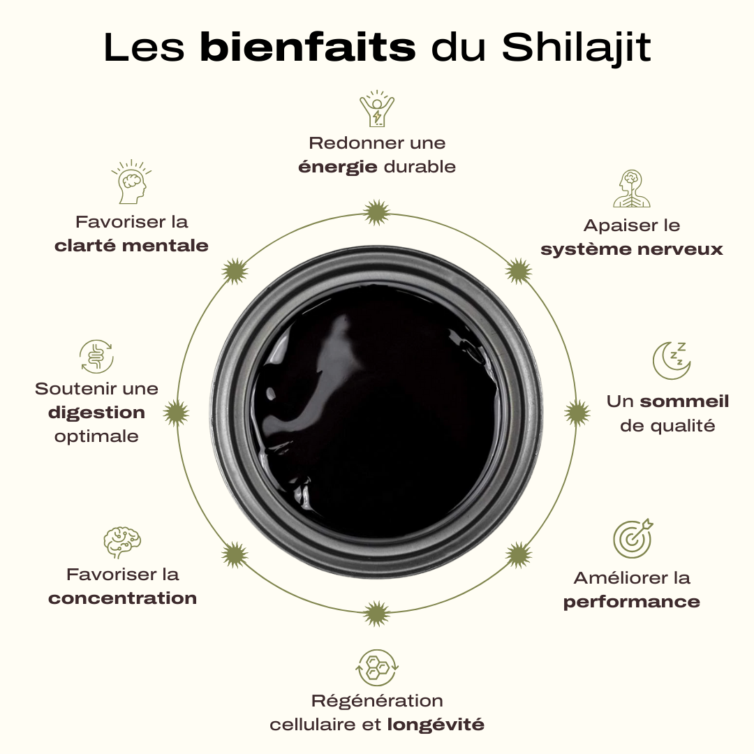 Shilajit – Votre allié pour une énergie durable