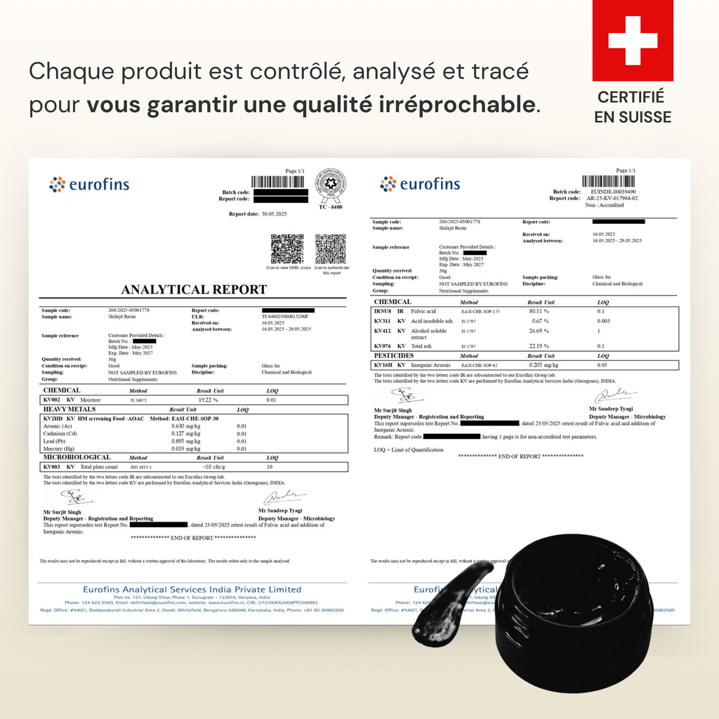 Shilajit pure résine – Votre allié pour une énergie durable