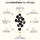 Comprimés de Shilajit – Votre allié pour une énergie durable