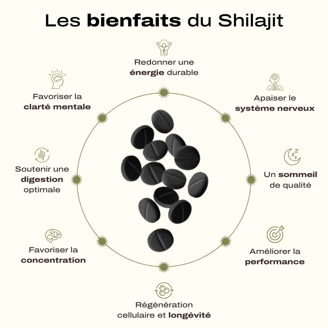 Comprimés de Shilajit – Votre allié pour une énergie durable
