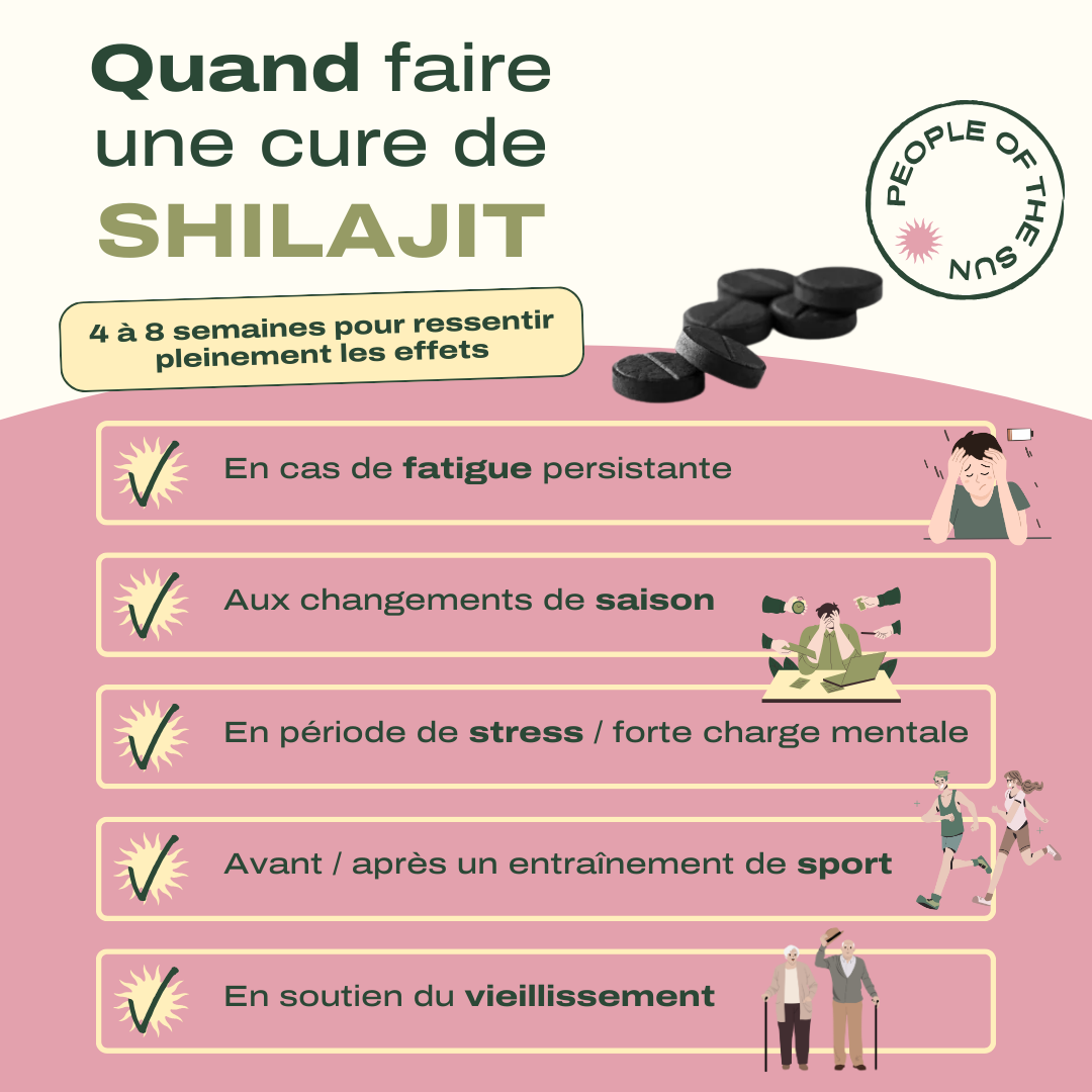 Comprimés de Shilajit – Votre allié pour une énergie durable