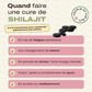 Comprimés de Shilajit – Votre allié pour une énergie durable