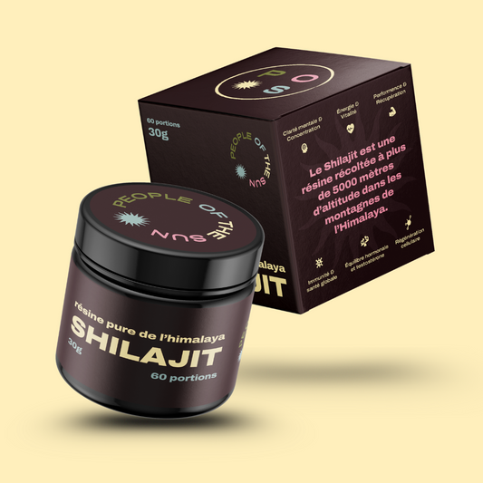 Shilajit – Votre allié pour une énergie durable