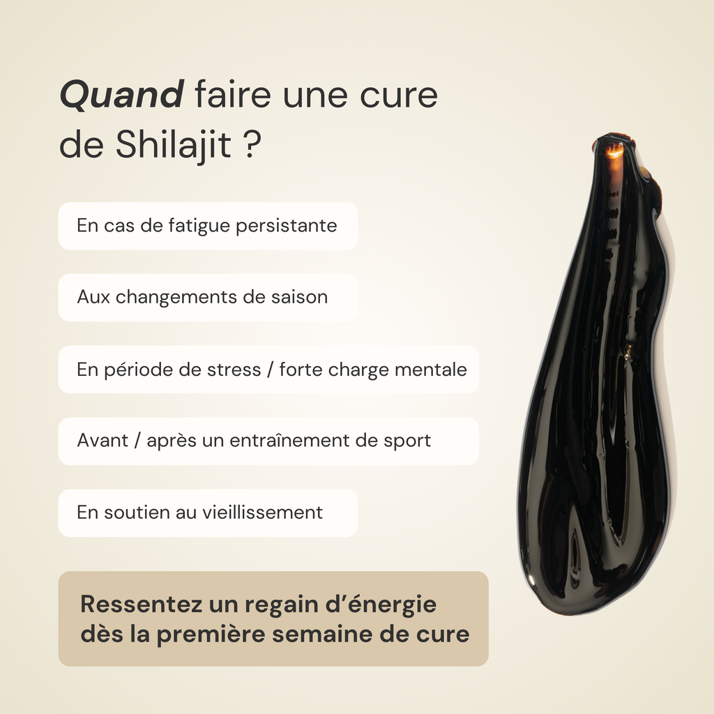 Shilajit pure résine – Votre allié pour une énergie durable