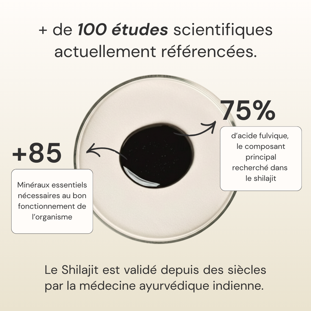 Shilajit pure résine – Votre allié pour une énergie durable