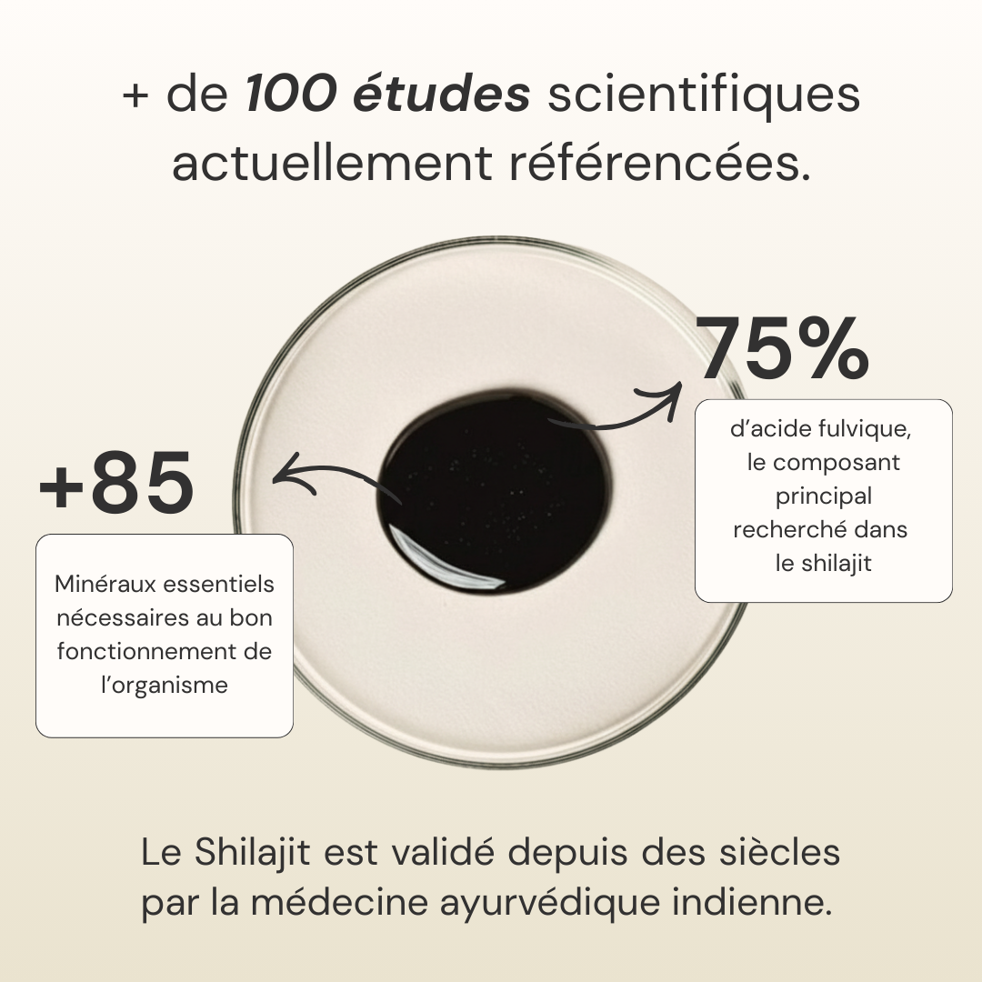 Shilajit pure résine – Votre allié pour une énergie durable